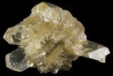 Twinned Selenite Crystals (Fluorescent) - Red River Floodway #77607-1